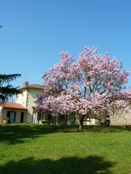 L'Oustal Chambres Et Tables D'Hotes Sonnac  ภายนอก รูปภาพ
